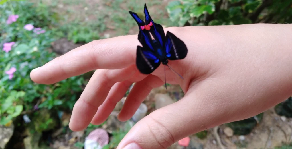 Los tiempos del alma los tiempos del alma