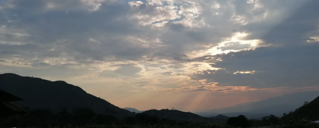 el dolor de tu partida