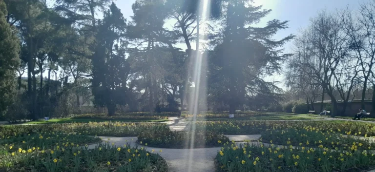 el tiempo que no veremos